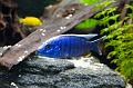 CRW_5991