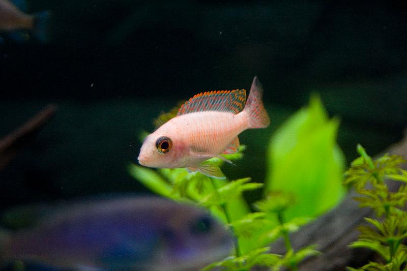 CRW_6034.JPG