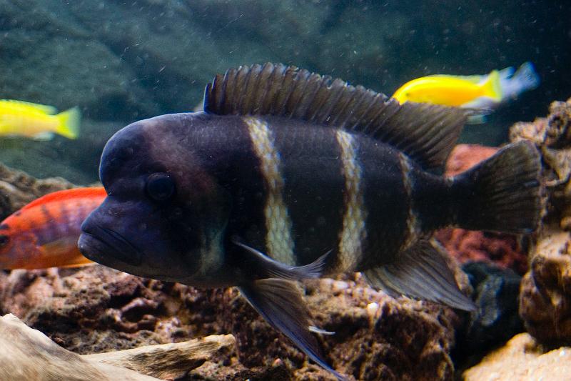 CRW_5598.JPG