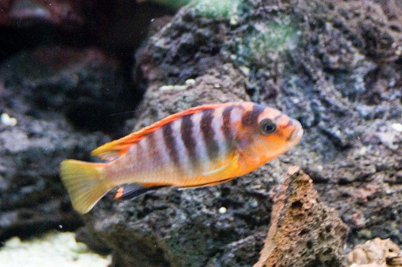 CRW_6059.JPG