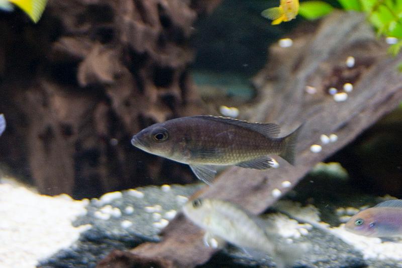 CRW_6006.JPG
